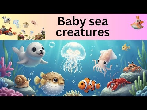 "Baby sea creatures🪼🦑🐡🐠🦀🦞🦭🐌"