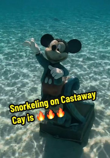 Snorkeling Adventures at Disney's Castaway Cay