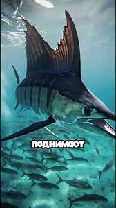 Facts That Sound Unbelievable 😱 #facts #shorts #fyp #interesting #science #animals #ocean
