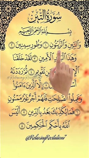 Surah At-Teen Healing and Soothing Quran Recitation #quran #qurantilawat #quranrecitation