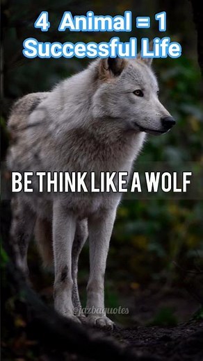 Lion & Wolf Quotes for the Savage Soul