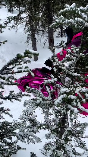 15K views · 104 reactions | This pink beauty from Cobra Equipped @skinner_bell is 奈 Cobra Pull Cord is the world's only recoil rope guaranteed for life Made in the USA and used by sledders all over the world! The Best Won't Break www.cobrapullcords.com #cobrapullcords #cobracord #snowmobile #snowmobiles #polaris #skidoo #arcticcat | COBRA PULL CORD | Facebook