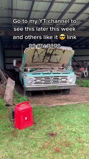 Y’all ready for this? 1964 F-250 sitting for years. Video in a few days.🤘🏼Link to channel on my page. #cargirl #ford #ThatCloseMessenger