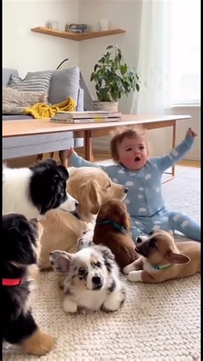 😍 Watch this baby playing with dogs — pure joy & chaos! 🐶👶✨