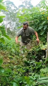 Chopping weeds... Then THIS slithered out! 😱 | The Weedy Garden