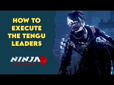 Execute the Tengu Leaders in Ninja Gaiden 4