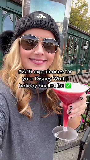 Snow Mountain Ride and Holiday Bucket List Ideas for Disney World Holidays