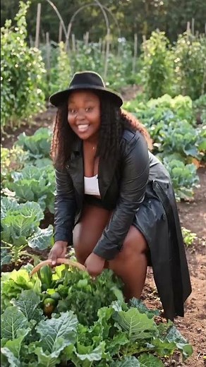 cooking Lesotho traditional food