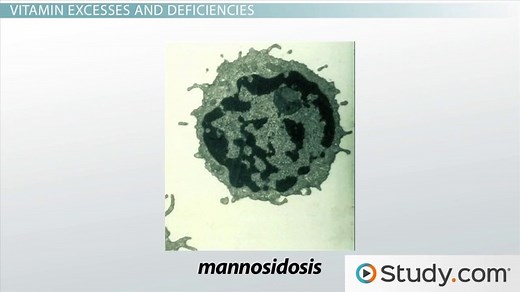 Other Causes of Cellular Injury
