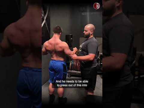 Scapular Function in the Bench Press | Principles of Loaded Movement #scapularfunction #benchpress