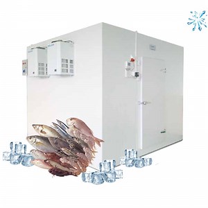 [Hot Item] Commercial Cold Storage Room Cold Room with Cooling System