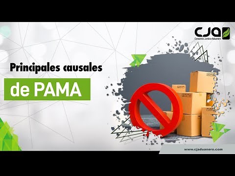 Principales causales de PAMA