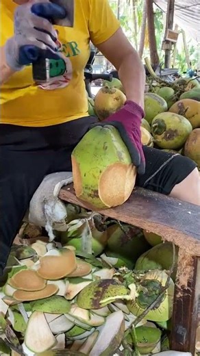 RT 90008472 mini rotary tillage and ridging all#in one 🌲 tree short view #rogator#shorts