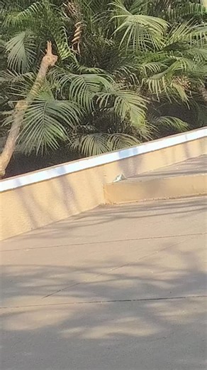 velle_[log]n on Instagram: "Us 🤣 #velle #engineer #funny #trendingreels #velleengineers"