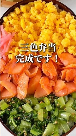【お弁当レシピ】【手作りしゃけフレークの三色弁当】 #shorts #辛子明太子 #博多あごおとし #明太子 #簡単料理 #簡単レシピ #うまかしゃけ #鮭 #しゃけフレーク #三色弁当