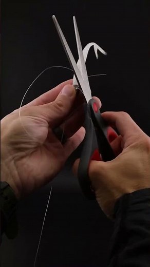 How to Rig the GraphShadZ