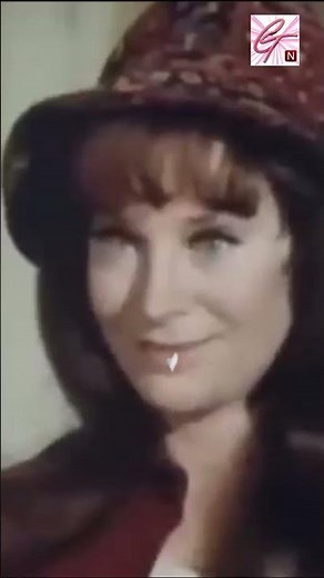 Lois Nettleton A Journey Through Film, TV, and Stage #biography #classic #celebrity