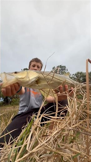 Giant snook on ultralite setup #fishing #snookfishing #bassfishing