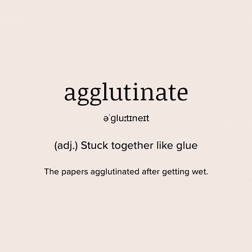 Vocabulary - The app to learn new words on Instagram: "agglutinate (adj.) Stuck together like glue (The papers agglutinated after getting wet.) #vocabulary #vocab #englishlesson #englishclass #wordoftheday #vocabularywordoftheday #vocabularylist #english #learnenglish #vocabularywords #englishteacher #toefl #ielts #vocabularybuilding"