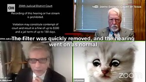 A lawyer had a filter mishap when he appeared as a cat during a virtual court proceeding https://cnn.it/2NojmBr | CNN