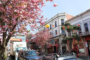 Opportunities for Artists | City of Victoria