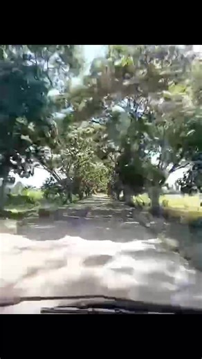 TEAM ORMOC THANK YOU SO MUCH..BALIK2X NYA MO PUHON...😊😊🏝️ I'M HAPPY TO SERVE YOU..FOR BOOKINGS CONTACT Camotes island TOUR .. YOUR SAFETY IS OUR TOP PRIORITY... #tourism #tourist #videos #goodvibes #tours #tourguide #explore | IsLa Boy