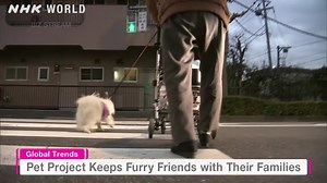 This week’s stories on BIZ STREAM - Tradition in Transition: New Takes on Japanese Crafts - AI Energy Thirst Poses Climate Dilemma - Pet Project Keeps Furry Friends with Their Families Saturday 23:10 (JST) Sunday 6:10, 17:10 Monday 12:30, 17:30 Wednesday 4:00 Watch Live ⬇️⬇️⬇️ https://www3.nhk.or.jp/nhkworld/en/live/ | NHK WORLD-JAPAN