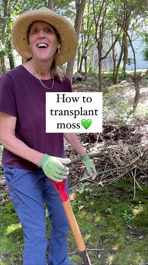 37K views · 539 reactions | I love moss so much, especially with...