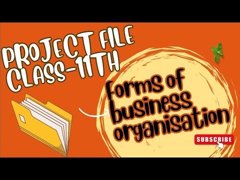 Class-11th Business Studies project |Forms of Business Organisation #projectfilemakingideas #project