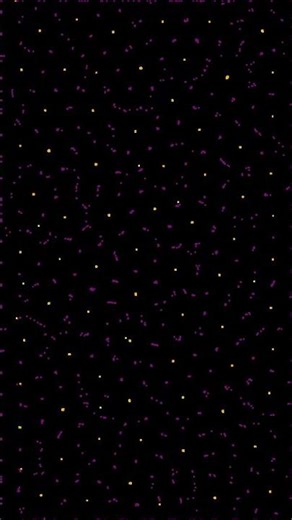 Particle Life Simulation - %s