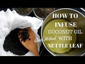How to Make Nettle Leaf Infused Coconut Oil: Quick Method
