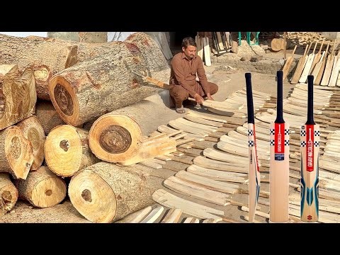 Coconut Tree to International Cricket Bat Full Making Process || inside factory mass production