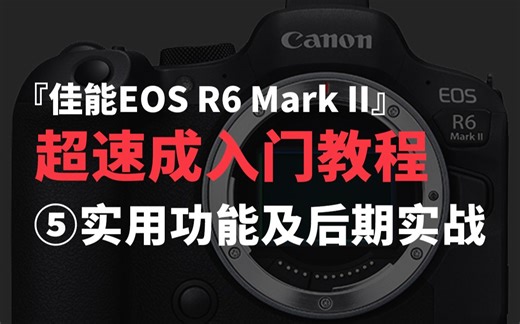 【超速成】让画面变好看！佳能EOS R6 Mark II实用功能和后期实战！第5集