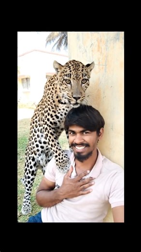 leopard leap #filter #tutorial