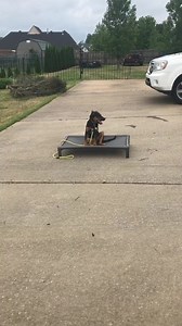 30 reactions · 151 shares | Heres a good example of a level 1 test... | Full of Sit | Facebook