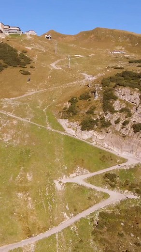 The Col Collective on Reels