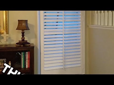 Problem with fly infestation inside home randomly in the Summer ONLY