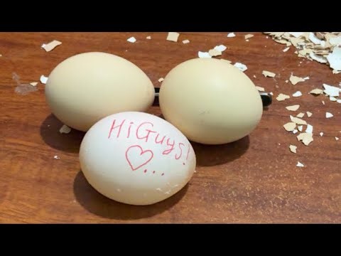 Raw egg peeling challenge | ASMR live #05