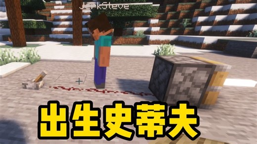 倒反天罡! 把现实中的出生史蒂夫 加入MC里!