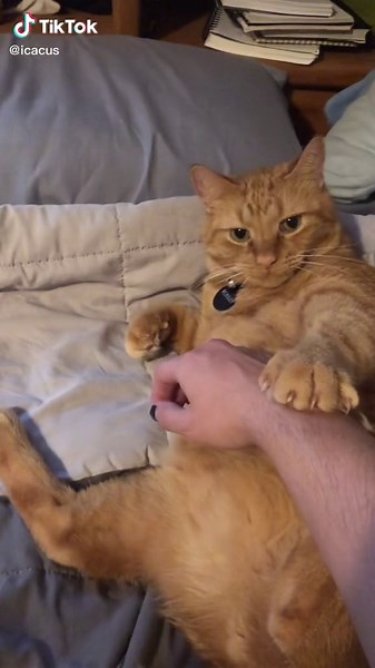 Understanding the Meaning of Hmph: Definition and Significance