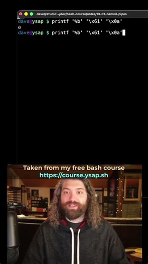 Printing Unprintable Characters with printf