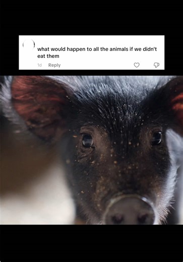 Why Veganism Matters: The Impact of Going Plant-Based