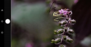 Download and run Image Sync on PC & Mac (Emulator)