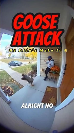 Angry Goose Chases Courier Off the Porch! 🪿💀