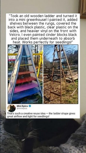 Turn an Old Ladder into a Greenhouse