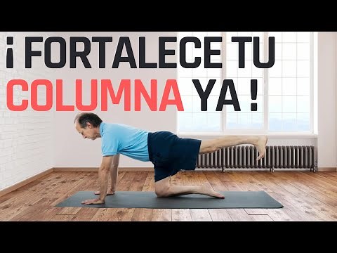 Strengthen Your Spine: The Importance of the Multifidus Muscle