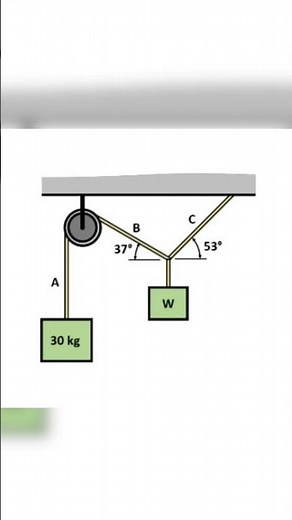 Pulley System Physics Problem | Find Weight W | Tension & Equilibrium Explained #circumference