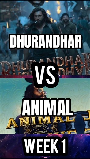 DHURANDHAR VS ANIMAL WEEK1#shorts#dhurandhar#animal#dude#youtube