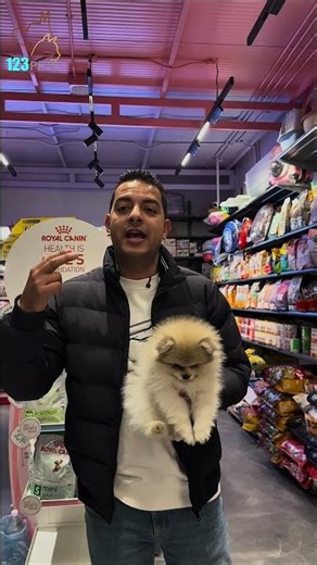 ليه 123Pets هو اختيارك الأفضل لحيوانك الأليف؟ 🐾