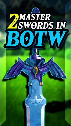 Are there TWO Master Swords in Botw? #breathofthewild #totk #mastersword #zelda